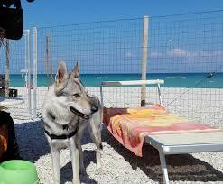 Stabilimento Balneare Baia Canaria